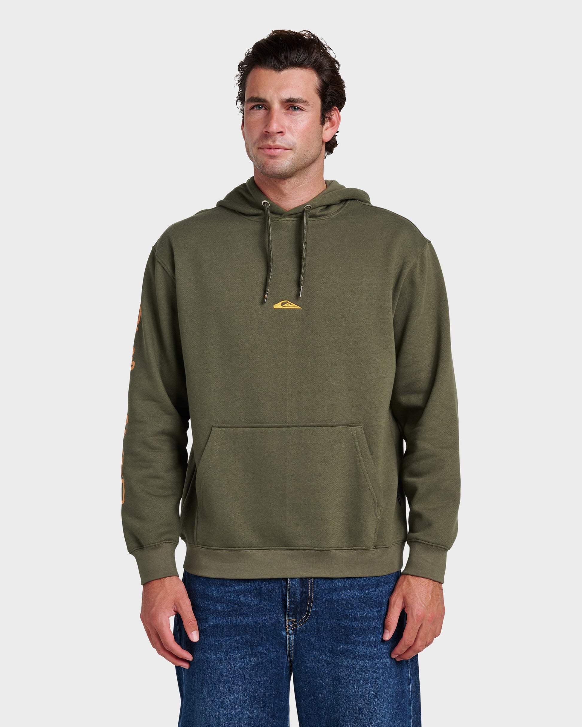 Quick Silver Passage Logo Hoodie - Grape Leaf