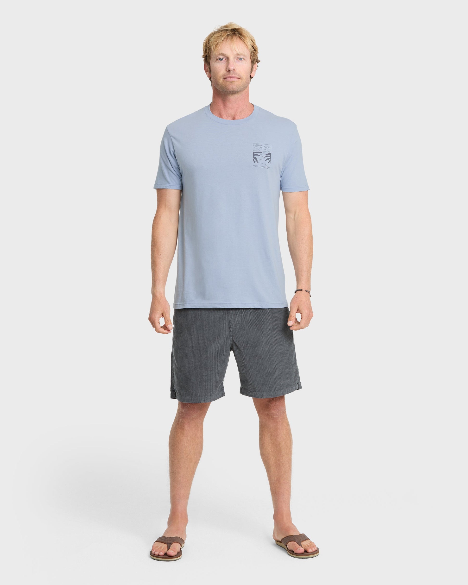 Quick Silver Ca PCH Cruisin T-Shirt - Ashley Blue