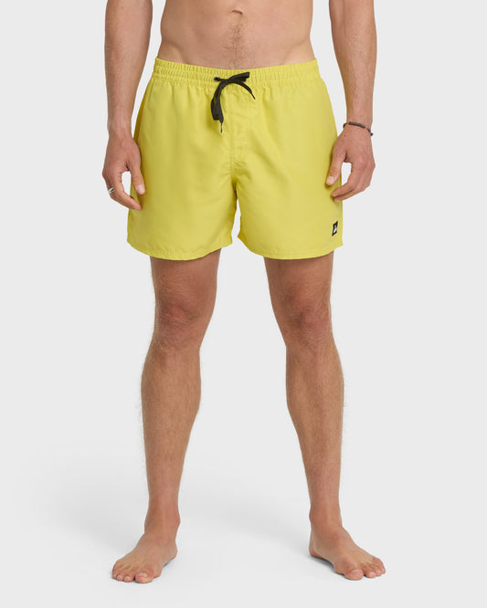 Quick Silver Everyday Solid 17" Swim Trunks - Acacia