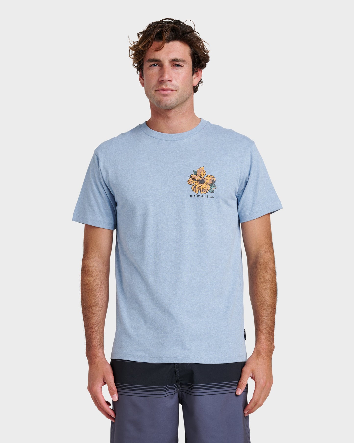 Quick Silver Hi Garden Classic T-shirt - Ashley Blue Heather