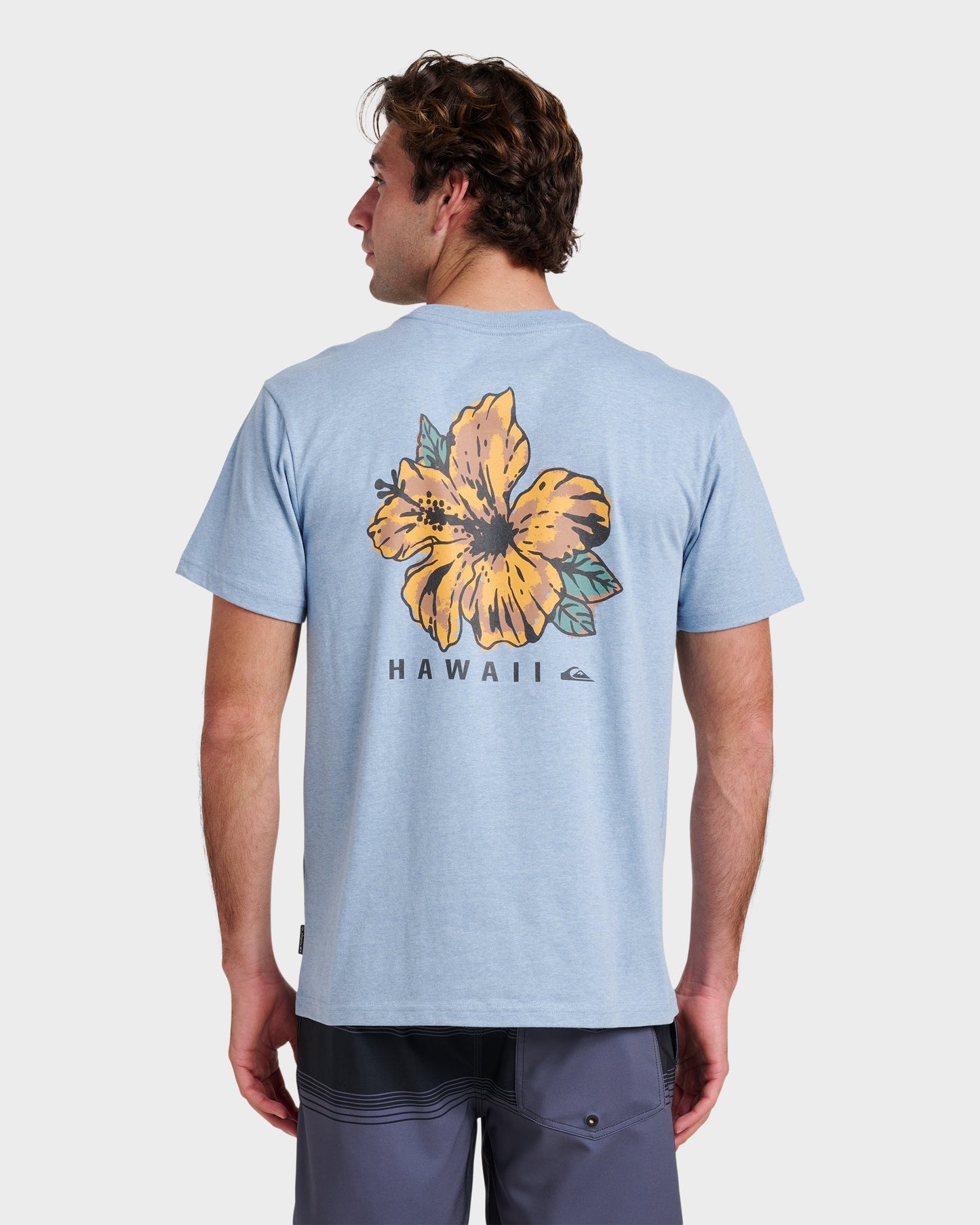 Quick Silver Hi Garden Classic T-shirt - Ashley Blue Heather