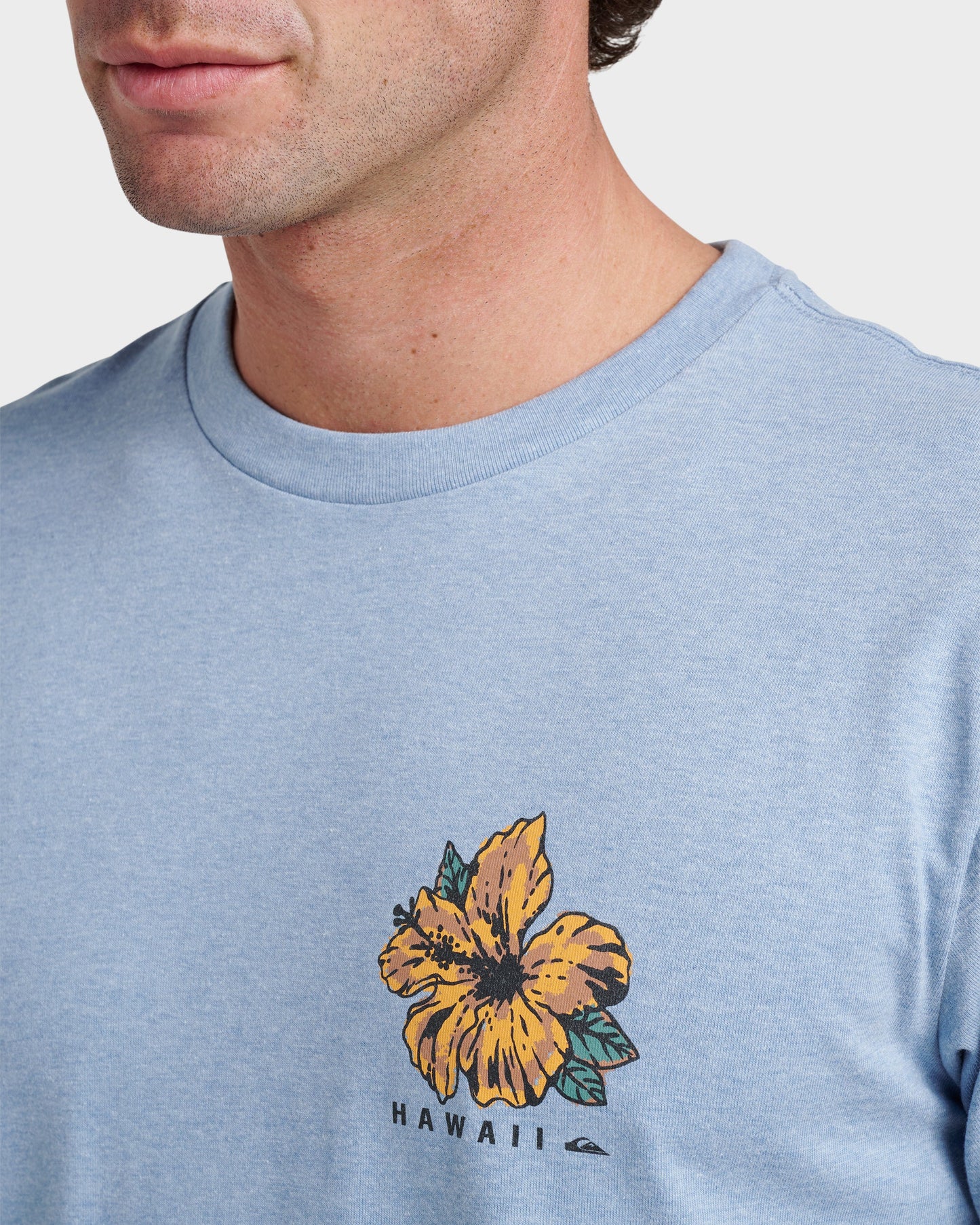 Quick Silver Hi Garden Classic T-shirt - Ashley Blue Heather