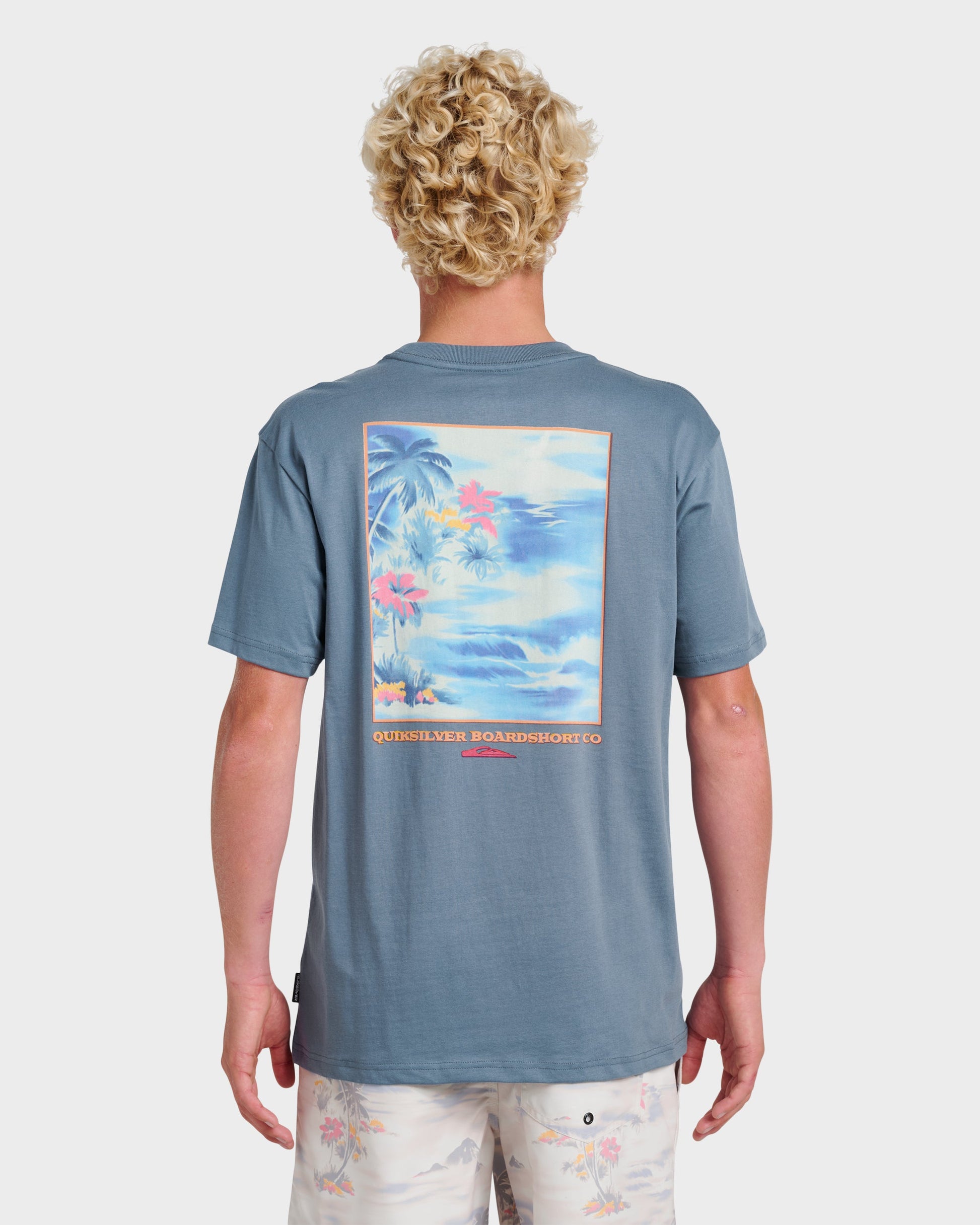 Quick Silver Tropical Surf Classic T-shirt - China Blue