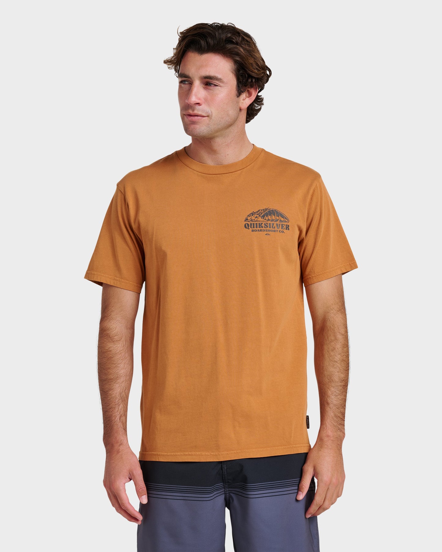 Quick Silver Going Leftpigment Dye T-Shirt - Almond
