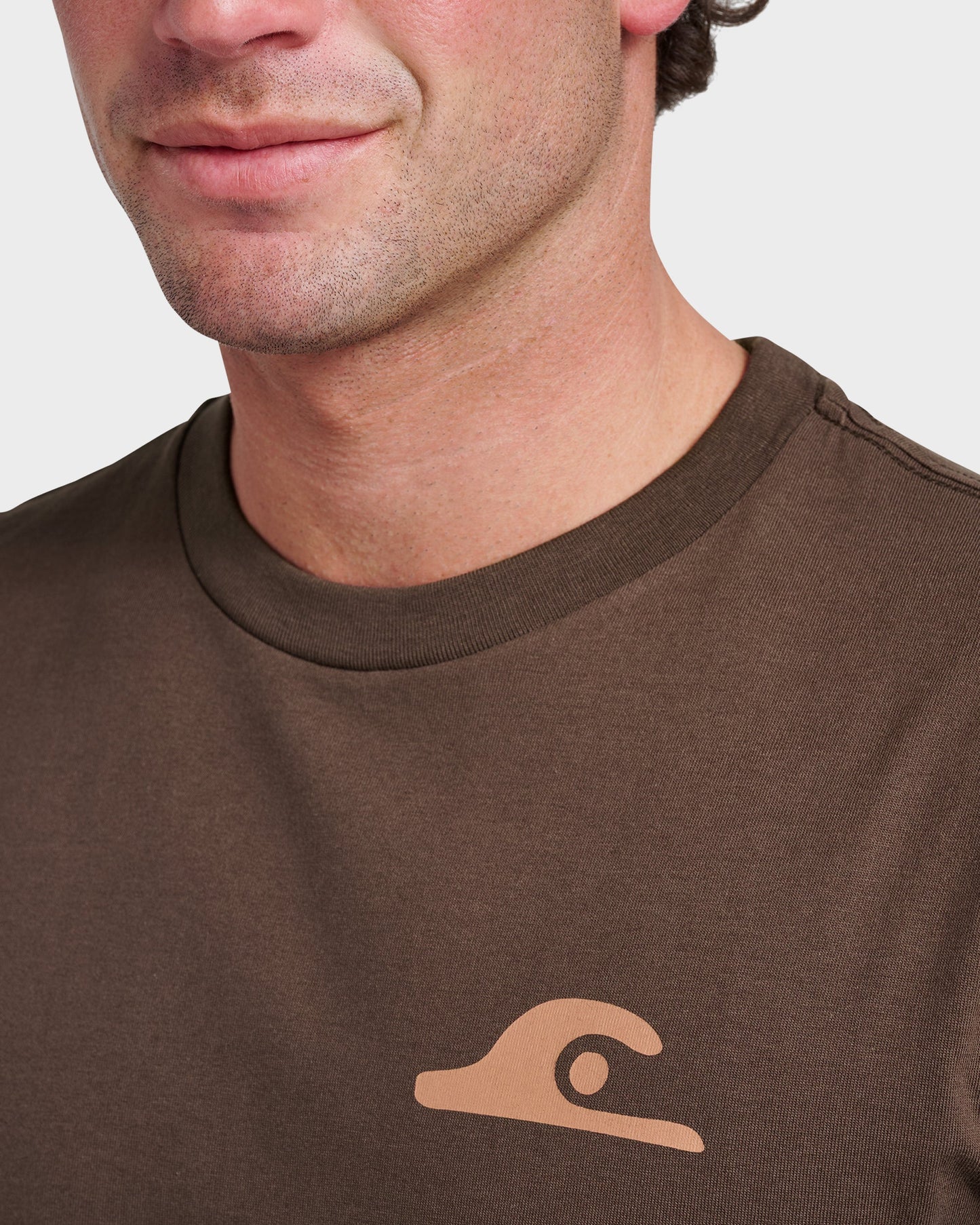 Quick Silver Primitive Scripture Classic T-shirt - Chocolate Brown