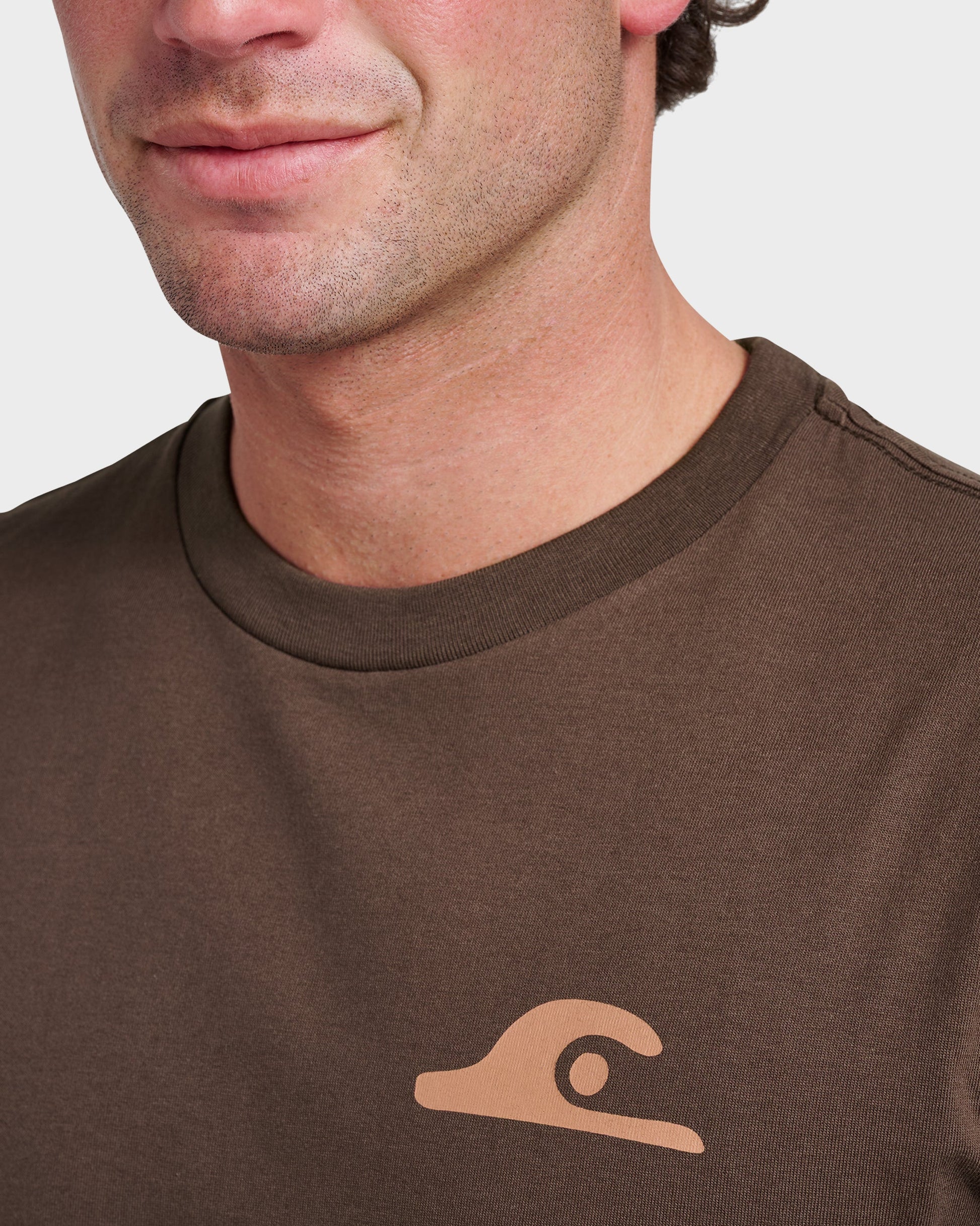 Quick Silver Primitive Scripture Classic T-shirt - Chocolate Brown