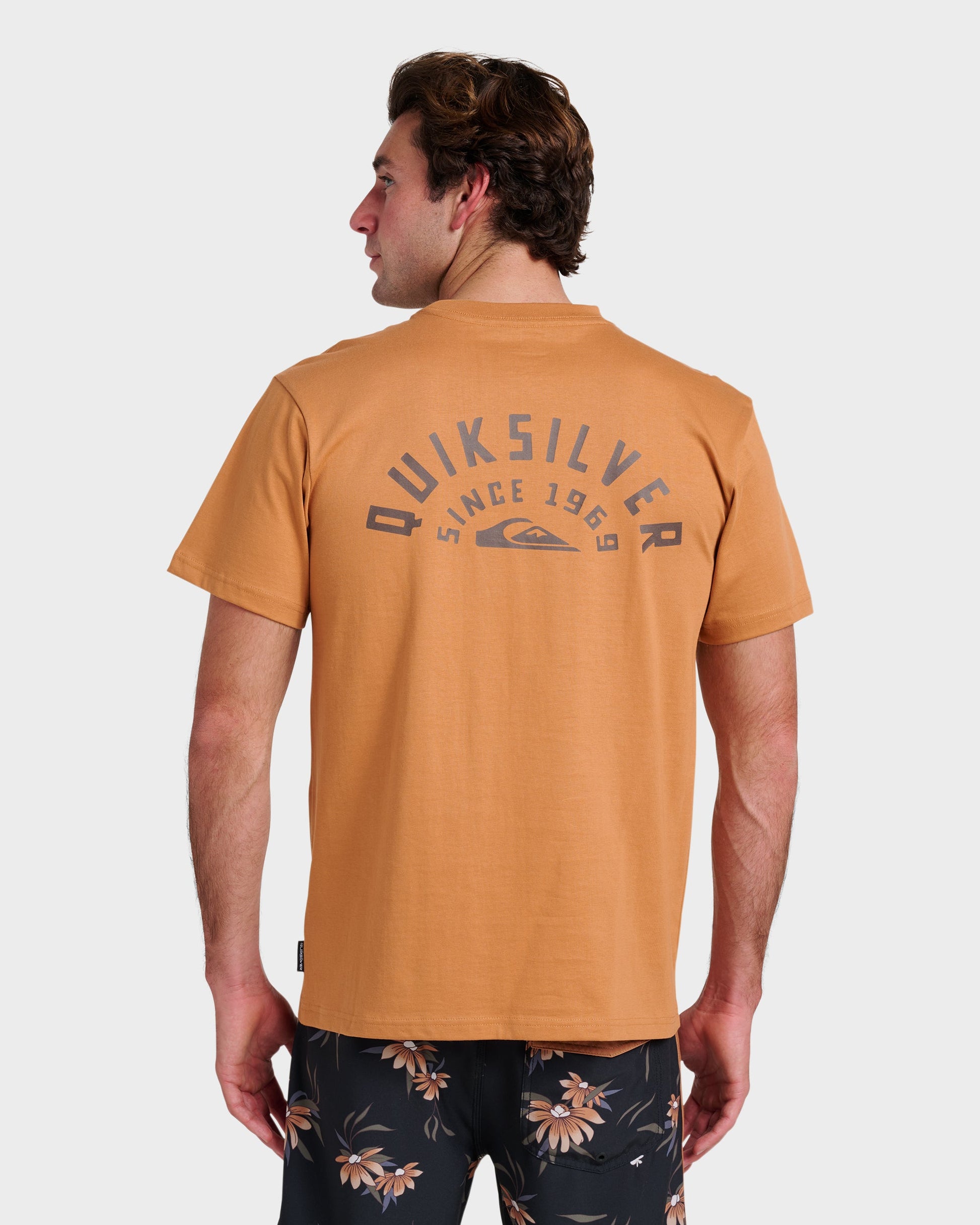 Quick Silver Sunrise Arch Classic T-shirt - Almond