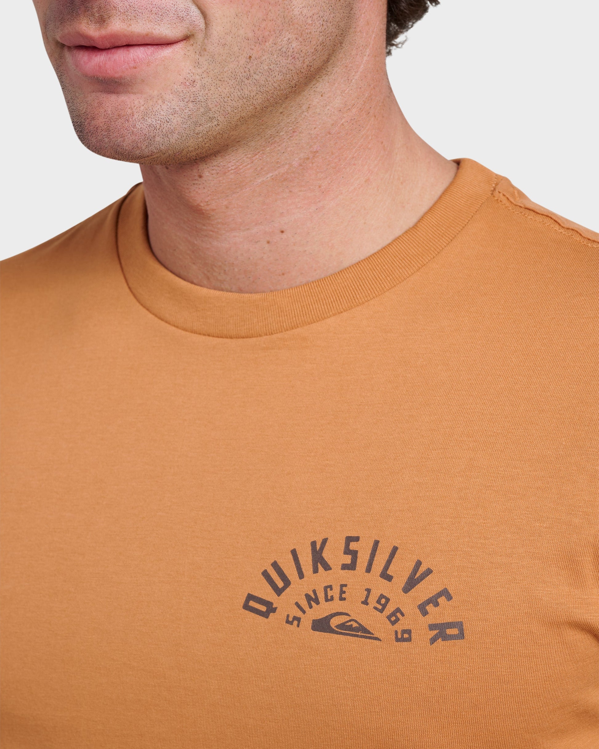 Quick Silver Sunrise Arch Classic T-shirt - Almond