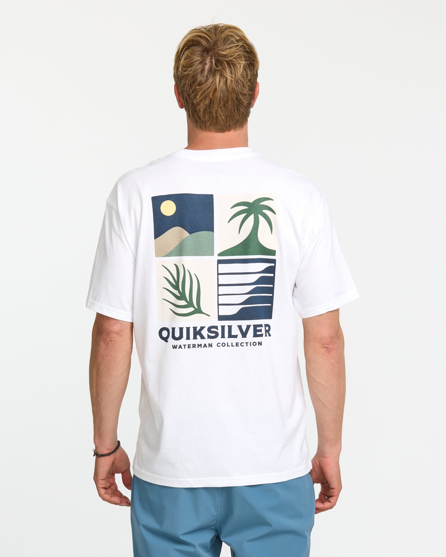 Quick Silver Waterman Four Elements Classic T-shirt - White