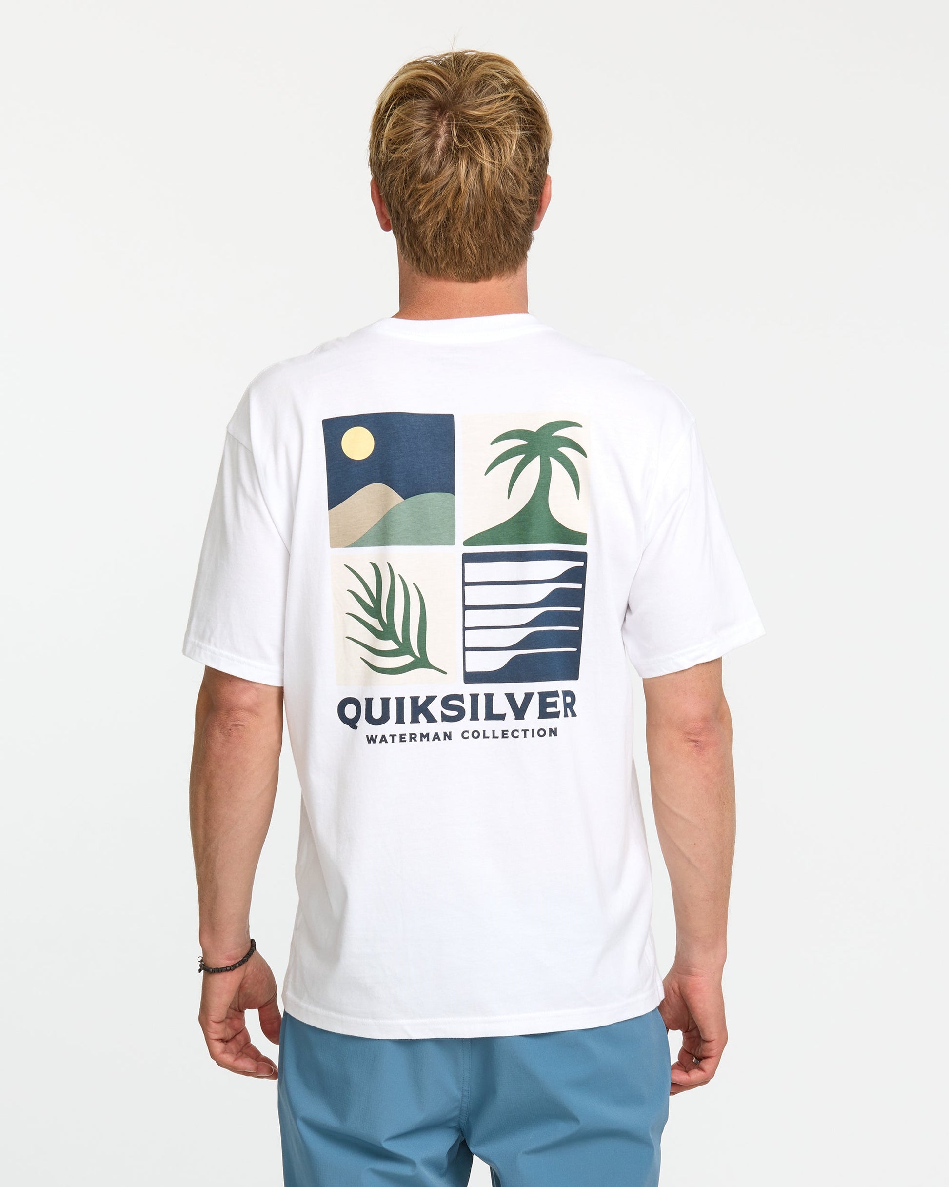 Quick Silver Waterman Four Elements Classic T-shirt - White