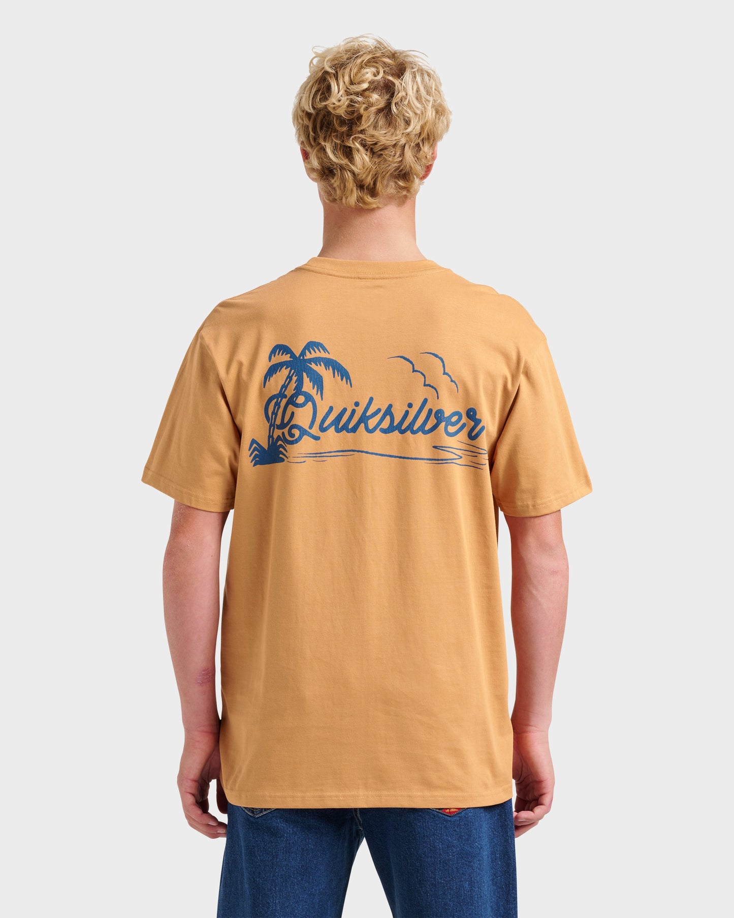 Quick Silver Island Vibin Classic T-shirt - Almond
