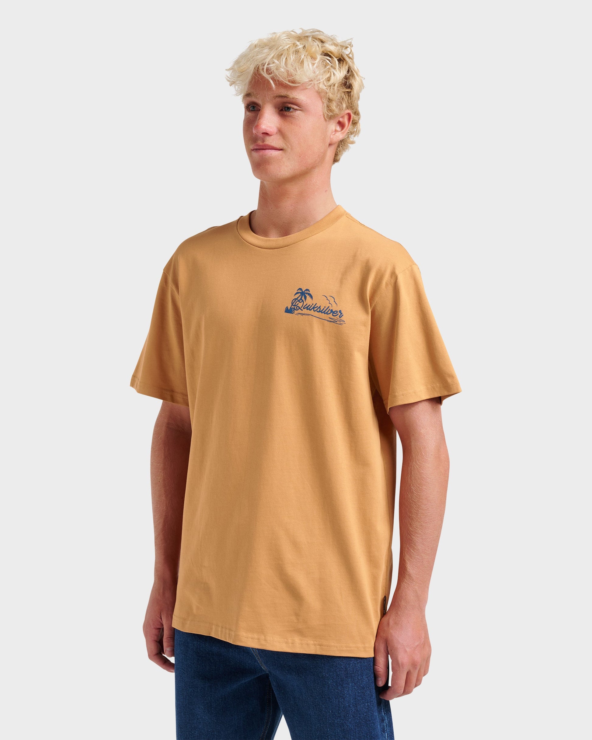 Quick Silver Island Vibin Classic T-shirt - Almond