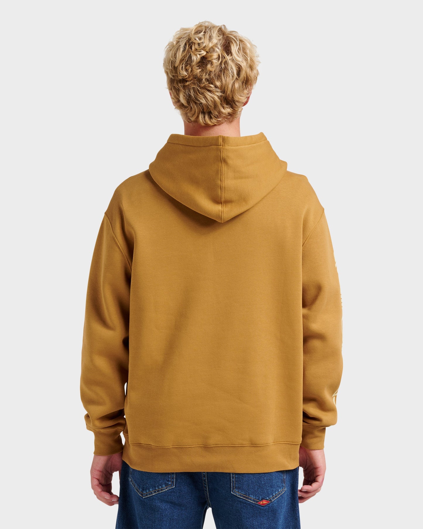 Quick Silver Passage Logo Hoodie - Wood Thrush