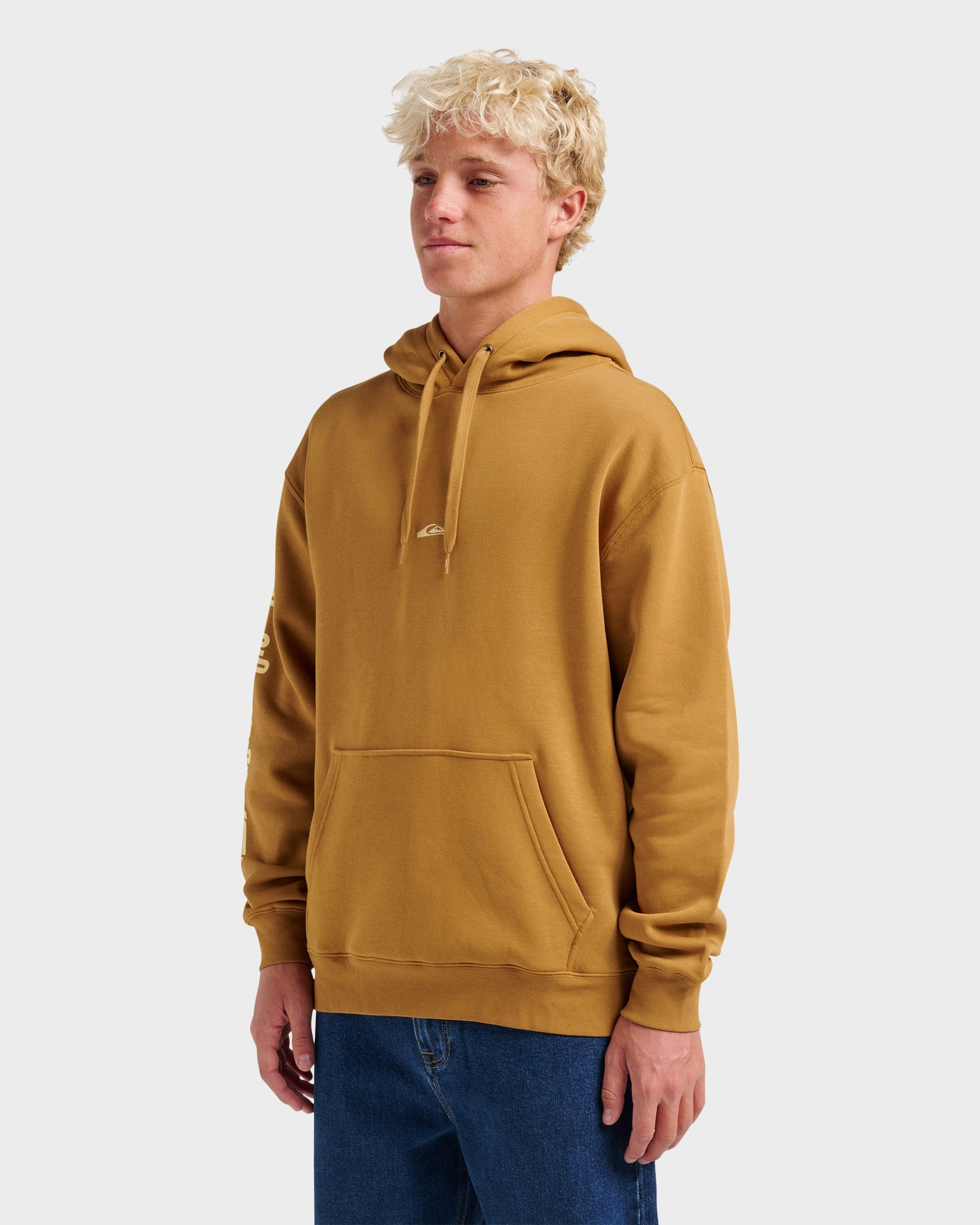 Quick Silver Passage Logo Hoodie - Wood Thrush