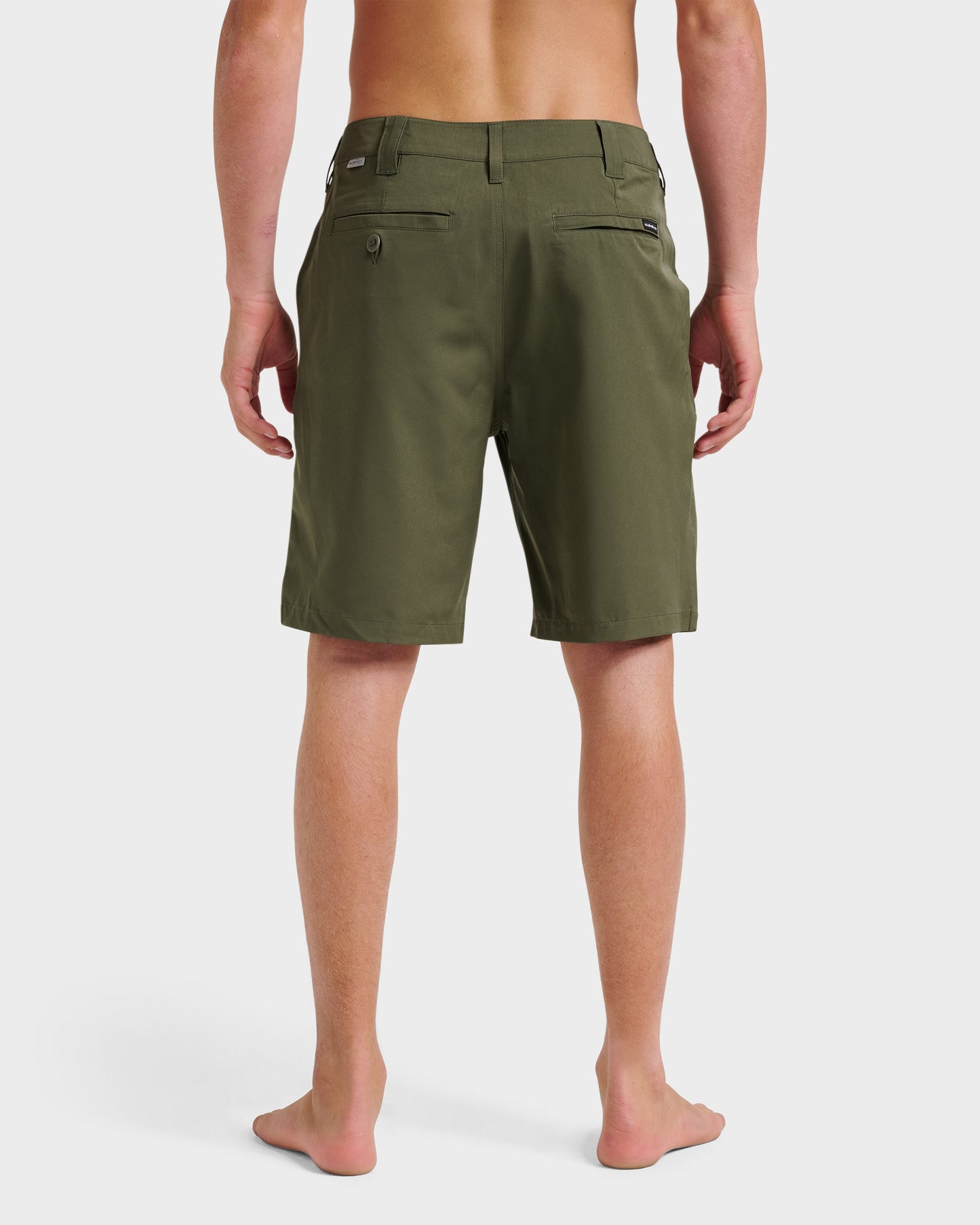 Quick Silver Union Amphibian 20" Hybrid Shorts - Grape Leaf