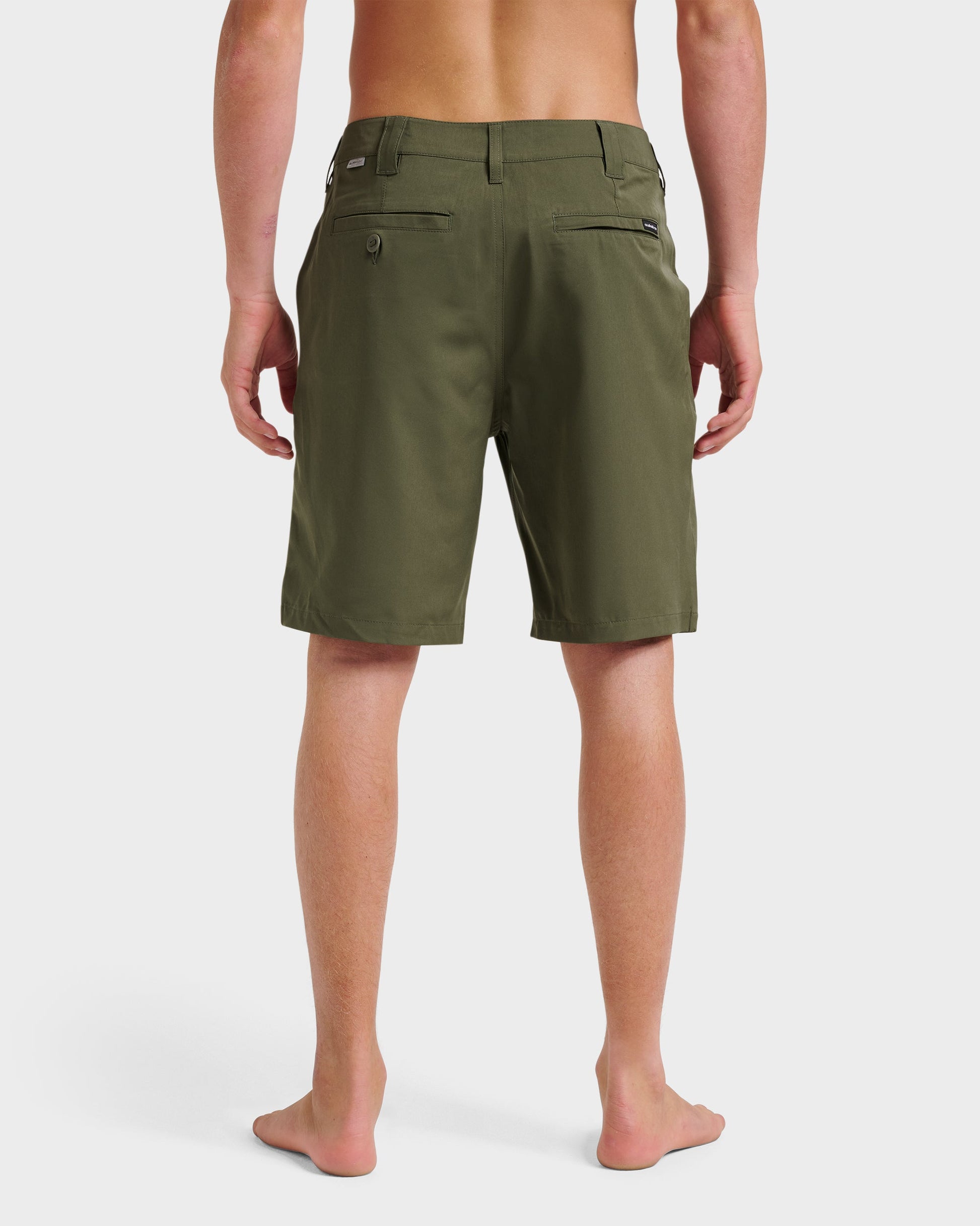 Quick Silver Union Amphibian 20" Hybrid Shorts - Grape Leaf