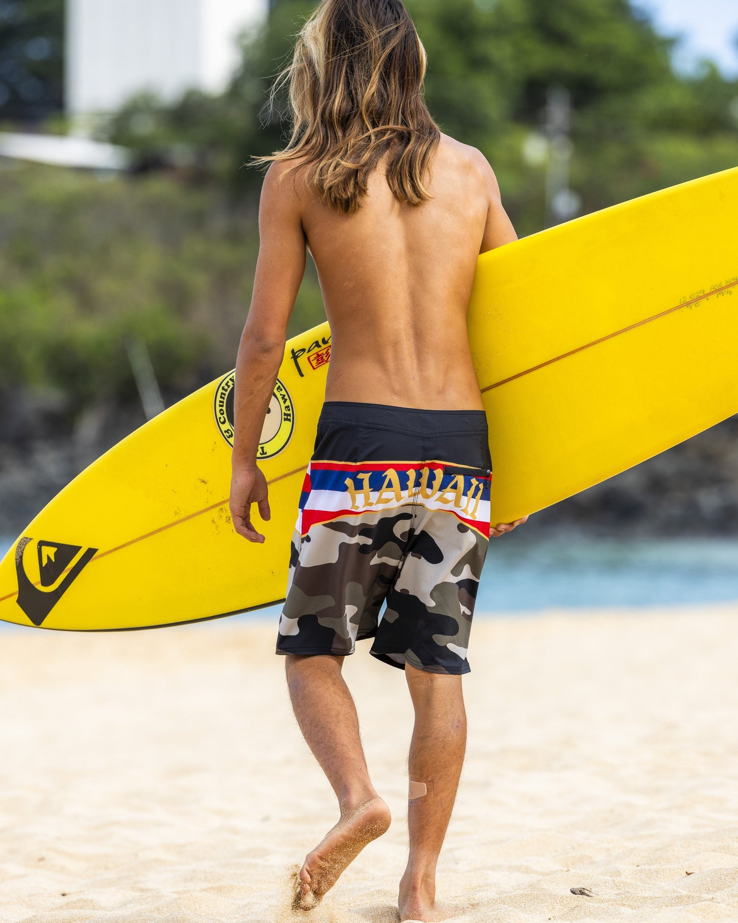 Quick Silver Hi Panel 20" Boardshorts - Grape Leaf