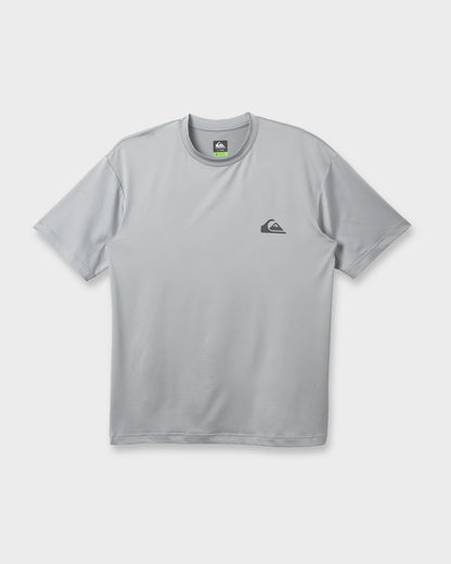 Quick Silver Everyday Short Sleeve Surf Tee - Smokedgray